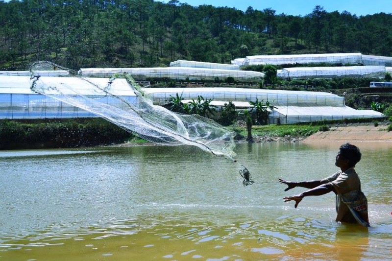 Giải Nhì: Lê Duy Linh (ĐH Quốc tế Hồng Bàng)
