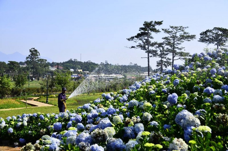 Giải Ba: Nguyễn Nhật Lệ (ĐH Kiến trúc Hà Nội)