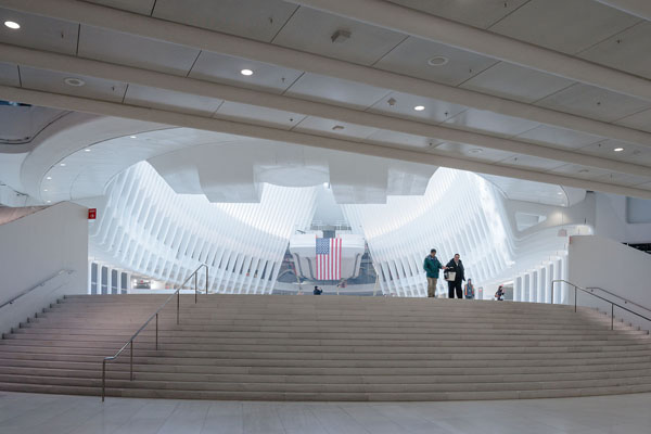 Ánh sáng tự nhiên được xem là biểu tượng mạnh mẽ của niềm hy vọng và sức sống. 