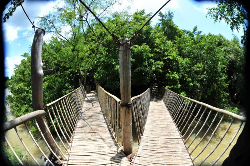 Hệ thống cầu treo - Trí Uẩn