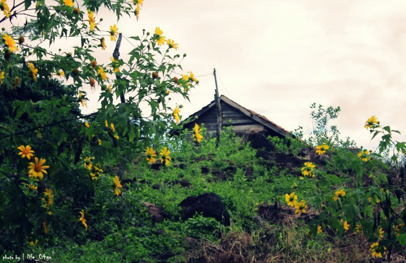 Chiều tà Đà Lạt