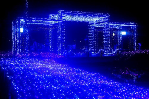 234215baoxaydung_image006