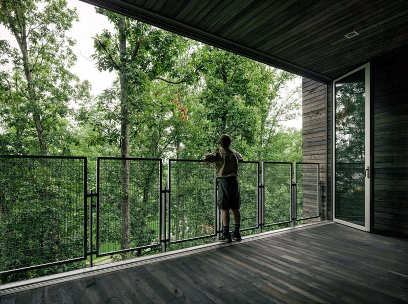 Indoor spaces are immersed within the forest canopy and rely on natural cooling and foliage for shading. - Photo Credit Photography by Joe Fletcher