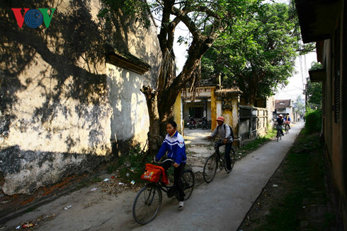Làng quên với những con đường nhỏ và rợp bóng cây xanh