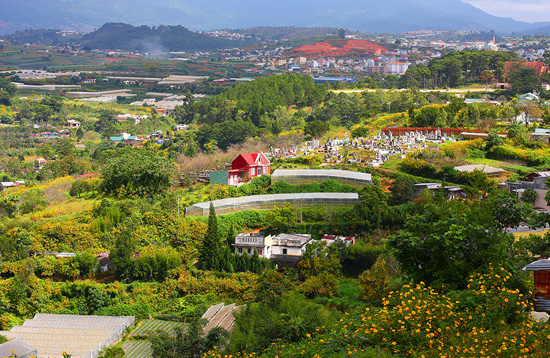 Đà Lạt