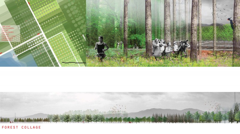 forest page.ai