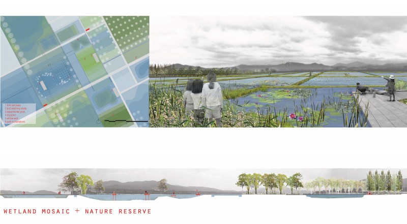 Khu Wetland (ngập nước) và bảo tồn thiên nhiên