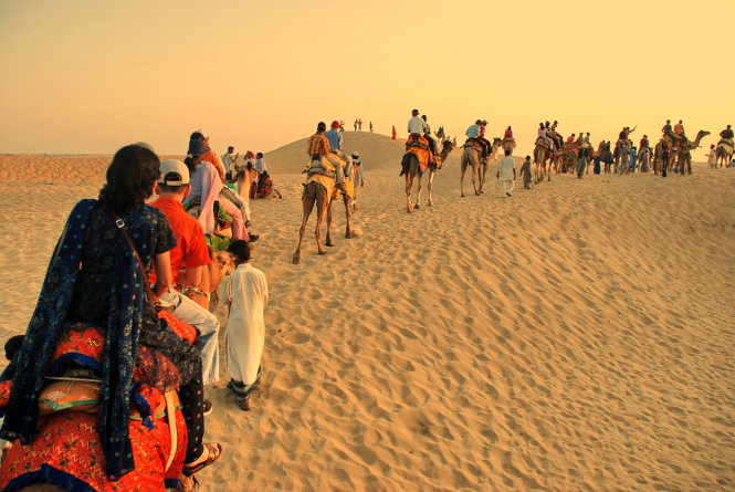Khám phá sa mạc Thar.