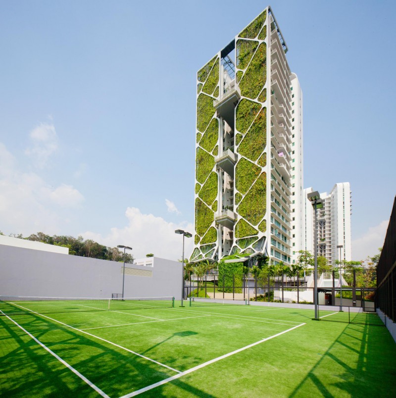 Hình 8: Toàn cảnh Tree House (nguồn: Tạp chí SouthEast Asia Building, tháng 9+10/2014)