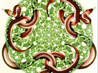 5. Bức tranh “Con rắn” của M.C.Escher lấy cảm hứng từ các nút