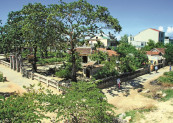 Khuôn viên đình làng Vĩ Dạ, Huế
