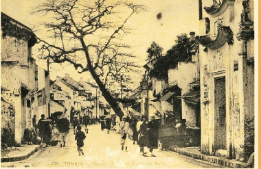 Cây nghiêng ra đường tìm không gian sống - Phố Mã Mây cuối thế kỷ 19 (Rue des Pavillons Noirs) (Nguồn: http://hanoilavie.com)