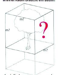 Một cây gỗ lớn cần từ 1.000-4.000 m3 trên mặt đất (Nguồn: Heidger, 2006)