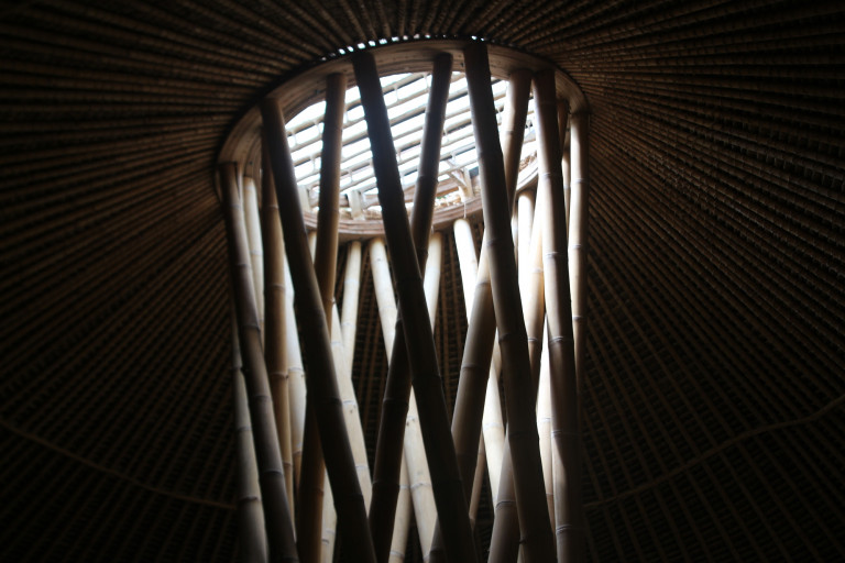  © José Tomás Franco