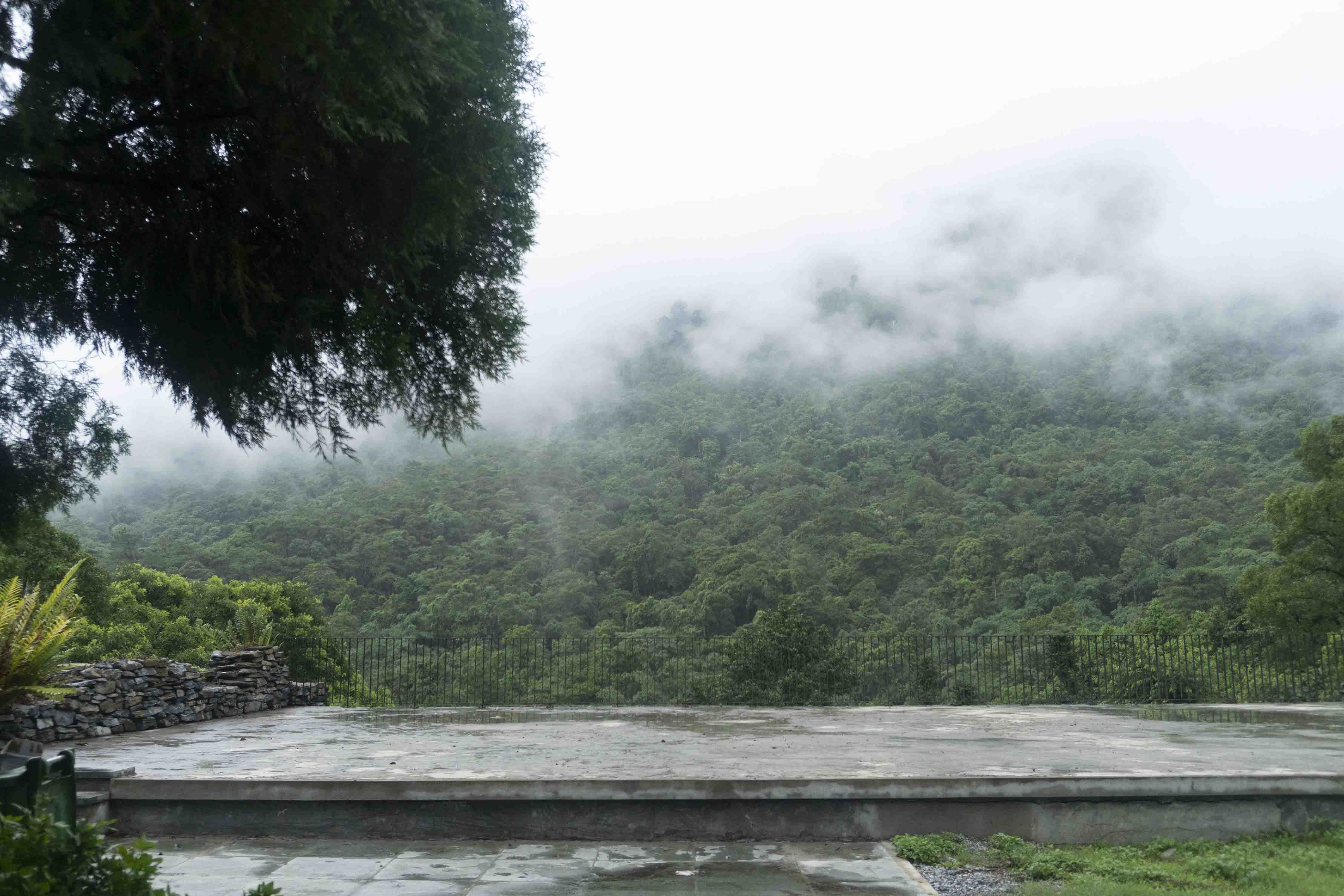 (c) Ảnh: Nguyễn Công Thiện