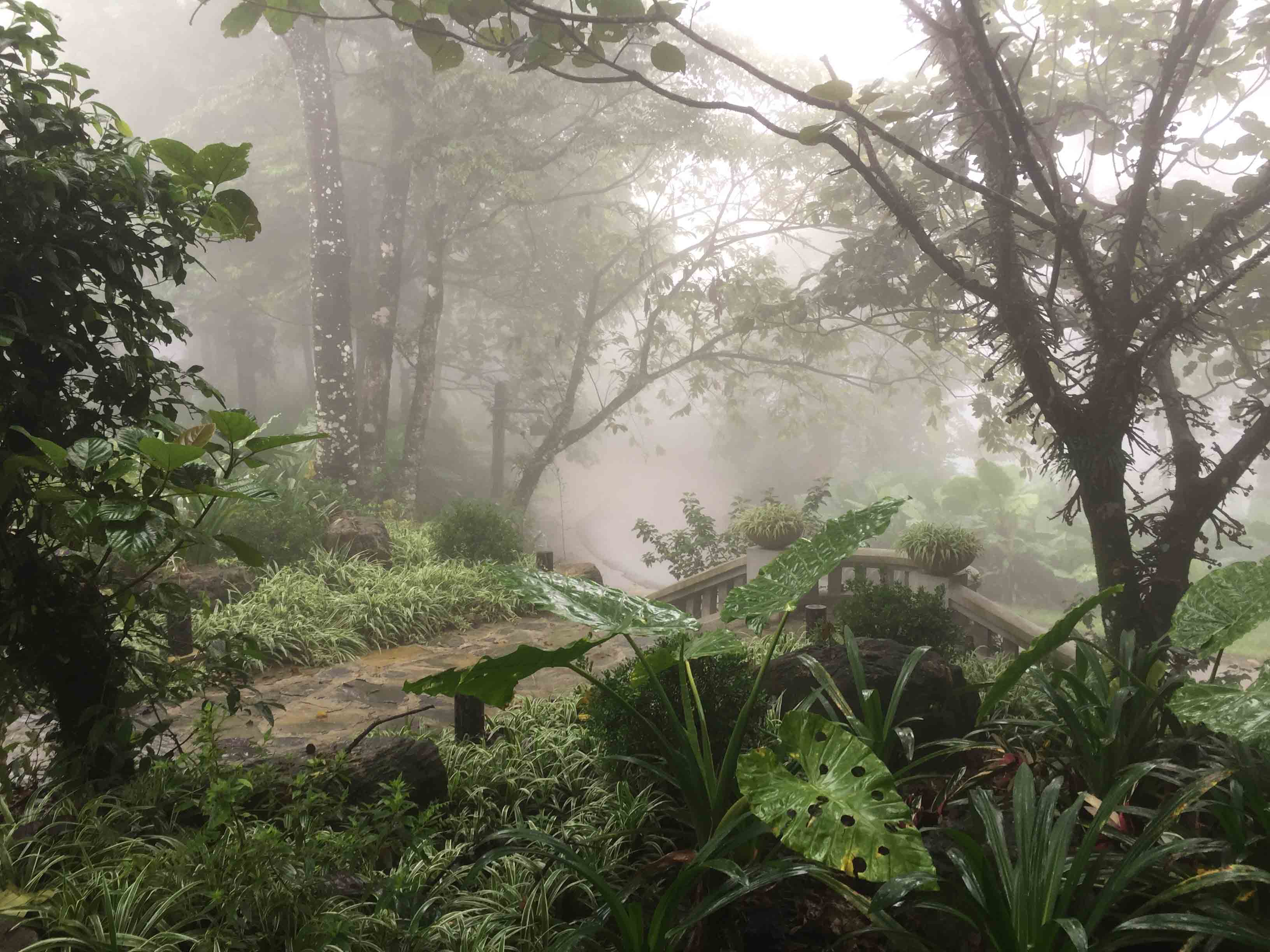 (c) Ảnh: Nguyễn Công Thiện