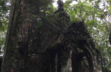 (c) Ảnh: Nguyễn Công Thiện