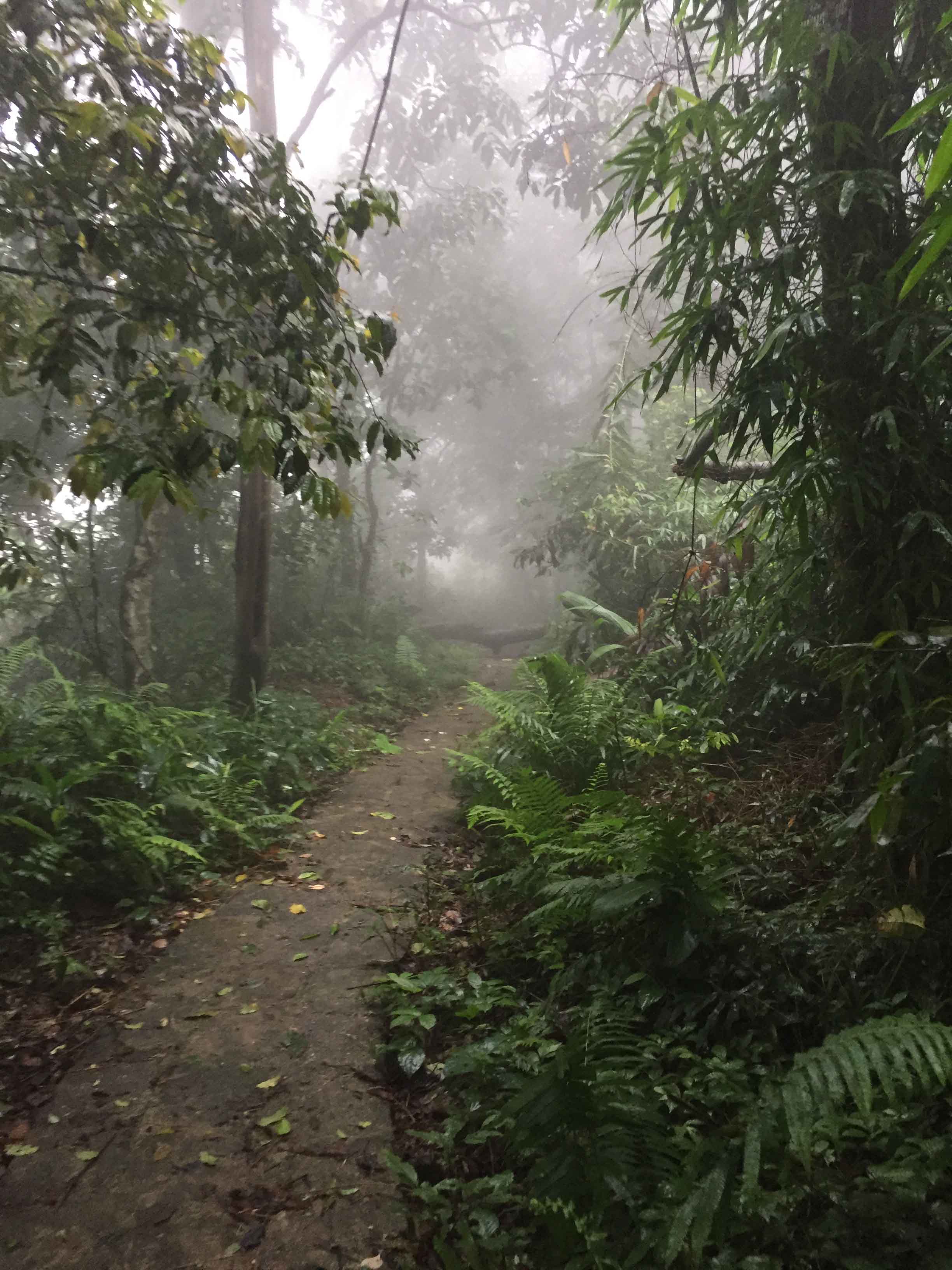 (c) Ảnh: Nguyễn Công Thiện