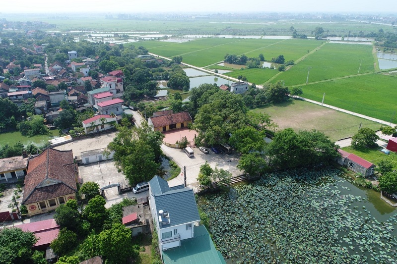 Tổ hợp cảnh quan đình làng, cây cổ thụ, ao sen làng Cựu