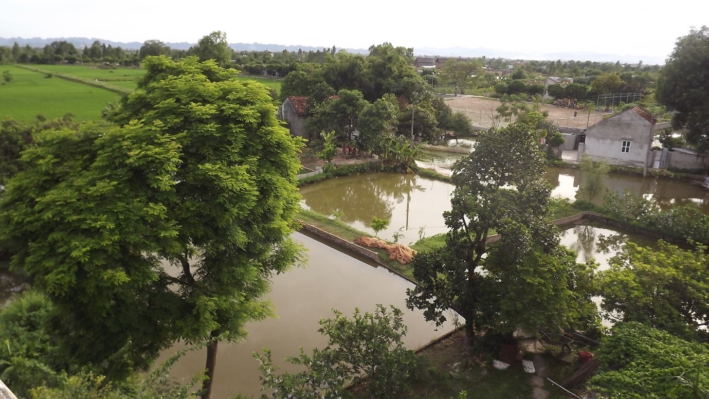 Không gian cảnh quan ao làng