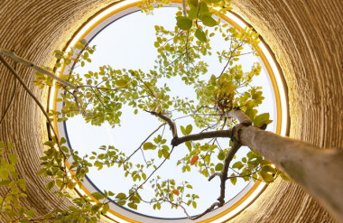 Mái nhà cũng là giếng trời, được lợp kính để bảo vệ công trình khỏi mưa.