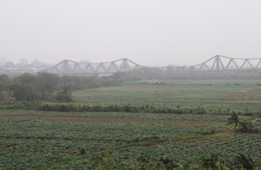 Phân khu quy hoạch có diện tích gần 11.000ha, trong đó, sông Hồng chiếm 3.600ha (33%), đất bãi sông trên 5.400ha (50%).