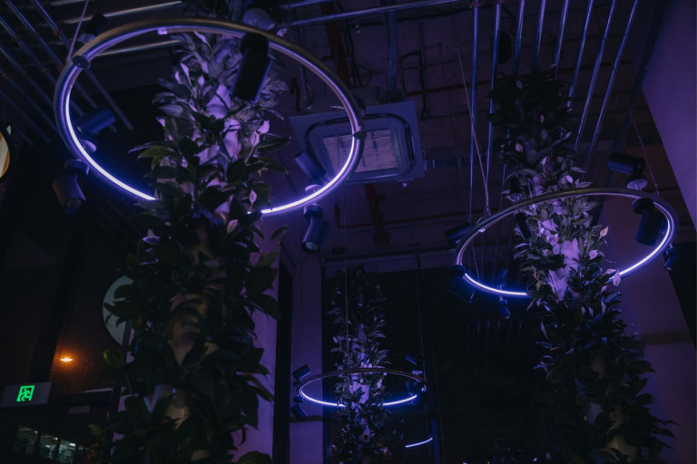 Văn Phòng và Showroom của Unios tại Hà Nội