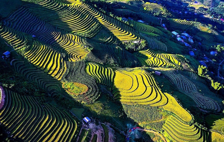 Ruộng bậc thang – Mù Cang Chải (Nguồn Internet)