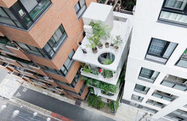 Theo kiến trúc sư Trần Ngọc Thạch, Nhật Bản quy định nhà ống phải có khoảng trống bên hông từ 50-90cm. (Ảnh: Arquitecturaviva, Ryue Nishizawa)