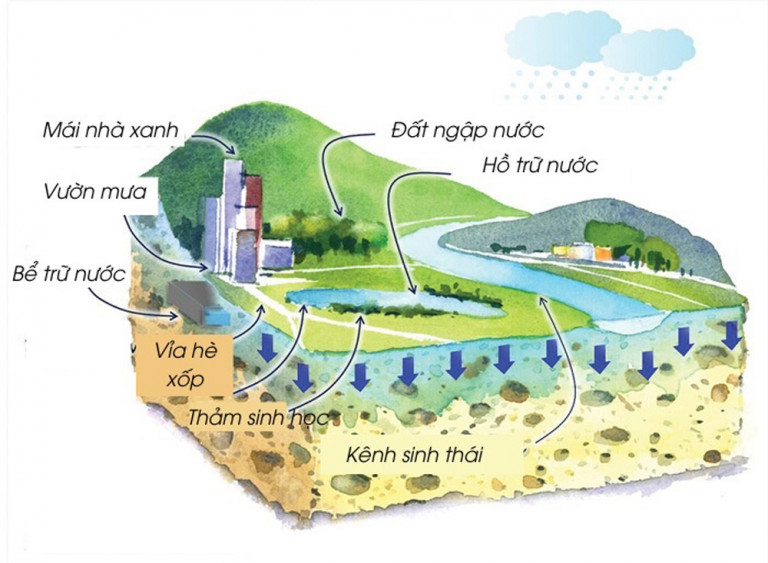 Mô hình cơ bản của thành phố bọt biển, khi sử dụng mặt đường xốp ở đất nền. Đồ họa: Cơ quan cấp thoát nước Hong Kong.