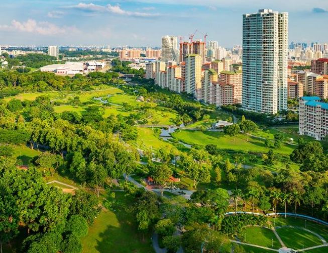 Ứng dụng mô hình quản lý cây xanh bằng kỹ thuật số – Bishan-Ang Mo Kio, Singapore
