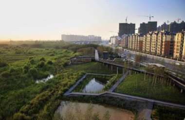 Hình 1. Cảnh quan thích ứng với thiên nhiên – Công viên ngập nước Qunli