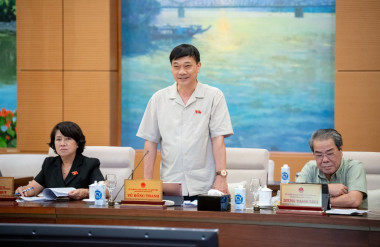 Ông Vũ Hồng Thanh phát biểu tại phiên họp.
