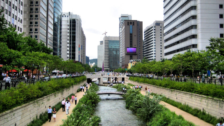 Hành lang xanh hai bên bờ suối Cheonggyecheon là không gian sống của nhiều loài động vật đô thị