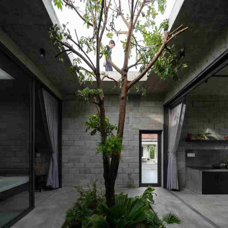 Sự hòa nhập mượt mà với cảnh quan xung quanh.