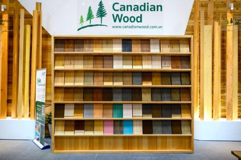 Bảng màu minh họa hoàn thiện các mẫu gỗ Canada đa dạng gam màu từ trầm ấm cho đến tươi sáng.
