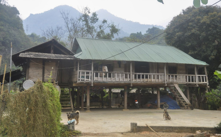 Hình 4. Hình ảnh ngôi nhà sàn dân tộc miền núi phía Bắc đã biến đổi nhưng vẫn giữ được kiến trúc truyền thống (vật liệu mái gianh đã thay thế bằng tấm tôn)
