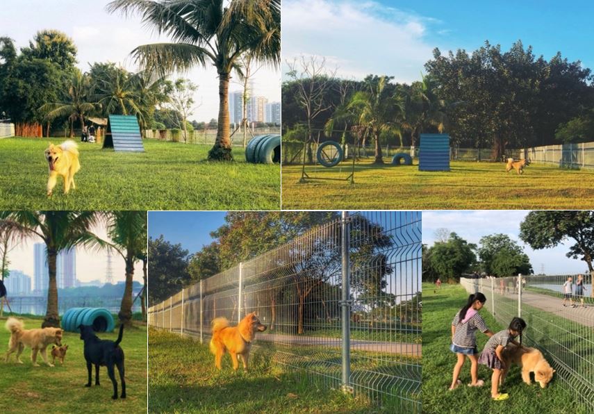 Hình 2. Không gian công viên chó Yên Sở, Hà Nội (Nguồn: tác giả)