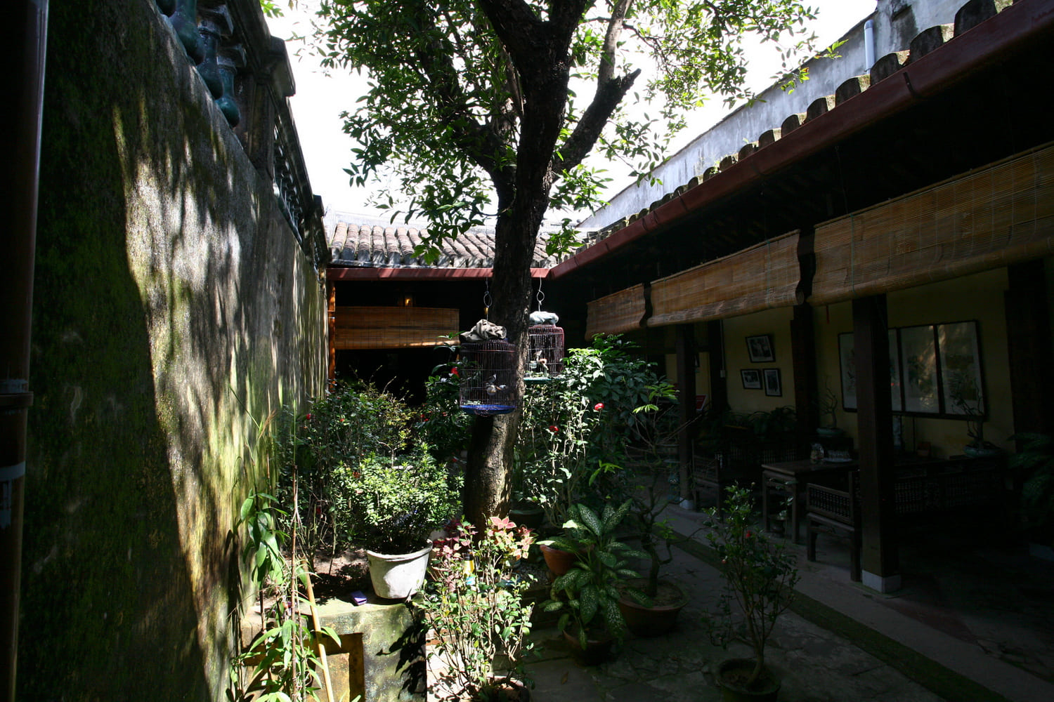 Sân trong kế bên hành lang