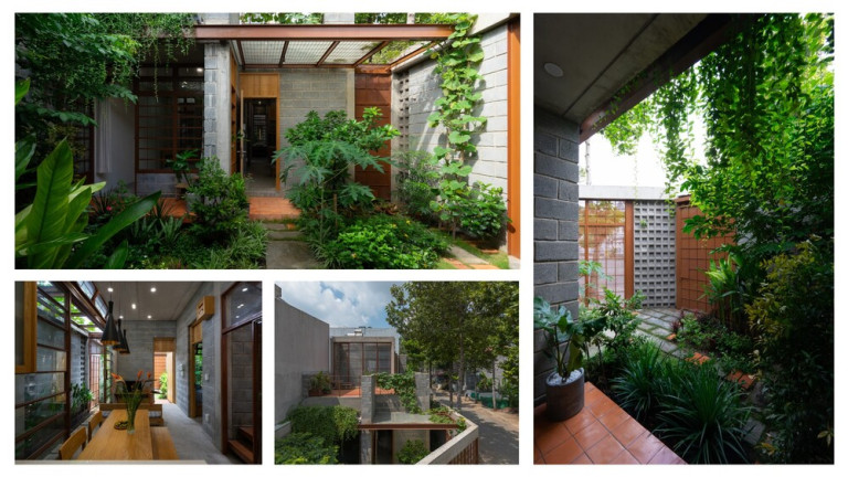 Không gian sống của nhà Bình Dương được tổ chức xoay quanh hệ cây xanh hiện hữu, tạo nên mối quan hệ cộng sinh hài hòa giữa con người và thiên nhiên