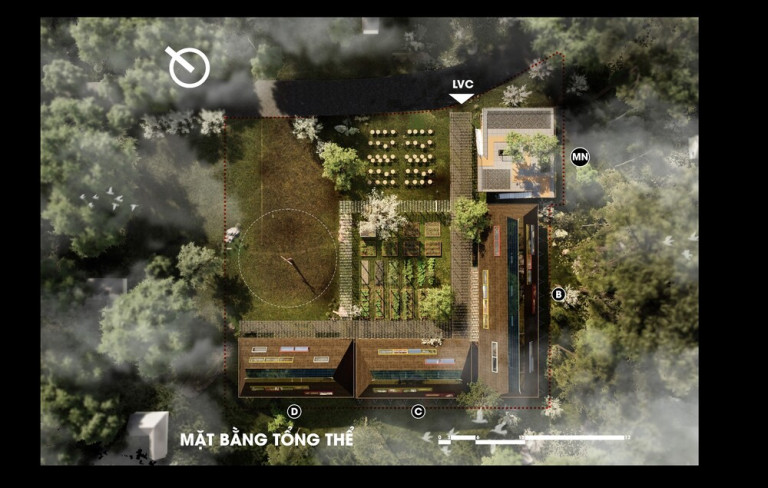 "Sau Rừng Mơ" – Lê Võ Hồng Phúc