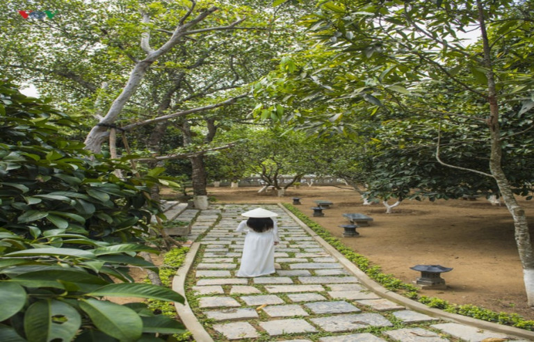 Hình 7: Nhà Vườn An Hiên Huế trồng xen cây ăn trái (An Hien Garden House, 2026).