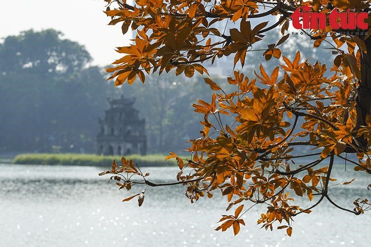 Vẻ đẹp của Hồ Gươm là sự tĩnh lặng và trong trẻo, đưa con người quay trở về với tâm hồn của chính mình (Ảnh: Tin tức)