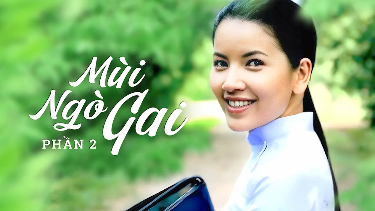 video-section-banner-image