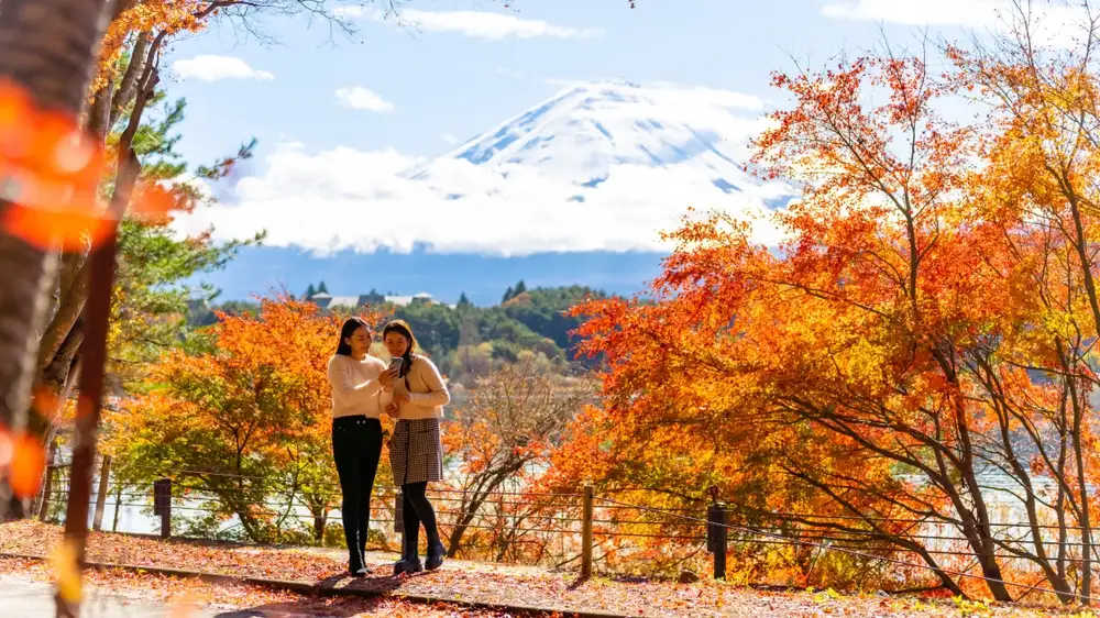 Red maple leaves across Japan in November
