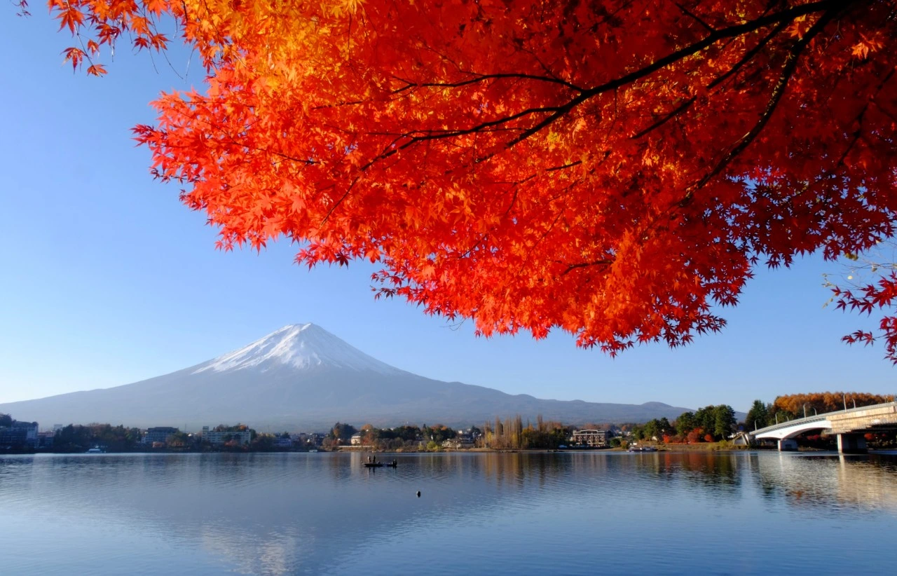 Mount Fuji in autumn