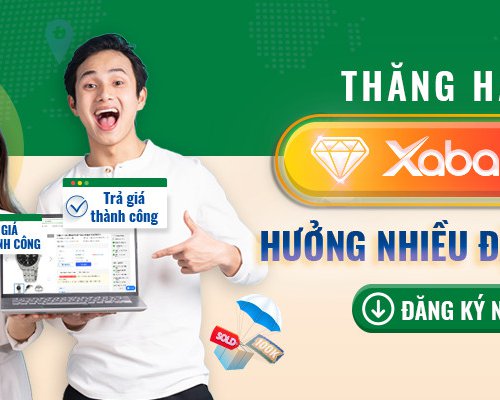 Thăng hạng thành viên VIP tại Xaba.vn cùng quyền lợi Đấu giá - Trả giá